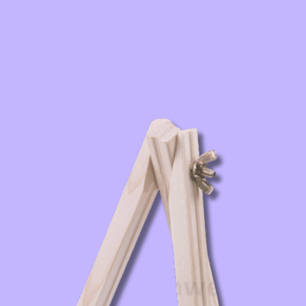Espositore Premium in Legno